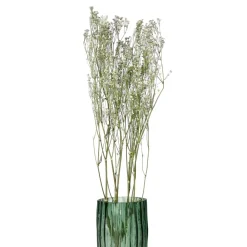 Pomax Fleurs-COLLITA - fleurs séchées - gypsophila natura - H 63 cm - blanc