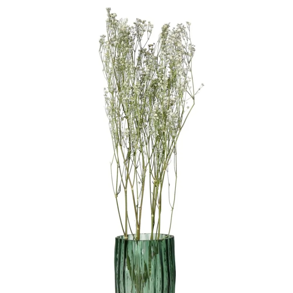 Pomax Fleurs-COLLITA - fleurs séchées - gypsophila natura - H 63 cm - blanc