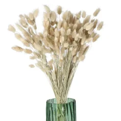 Pomax Fleurs-COLLITA - fleurs séchées - lagurus ovatus natural - H 65 cm - naturel