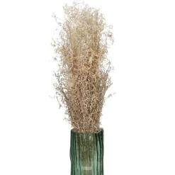 Pomax Fleurs-COLLITA - fleurs séchées - munni grass natural - H 70 cm - naturel
