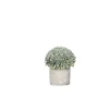 Pomax Plantes-CONCRETE JUNGLE - plante artificielle en pot - ciment / synthétique - DIA 12 x H 14 cm