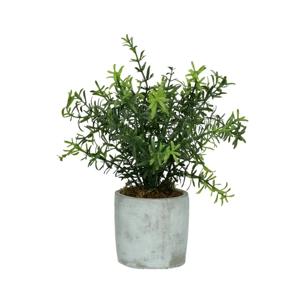 Pomax Plantes-CONCRETE JUNGLE - plante artificielle - synthétique / ciment - DIA 11 x H 23.5 cm - vert