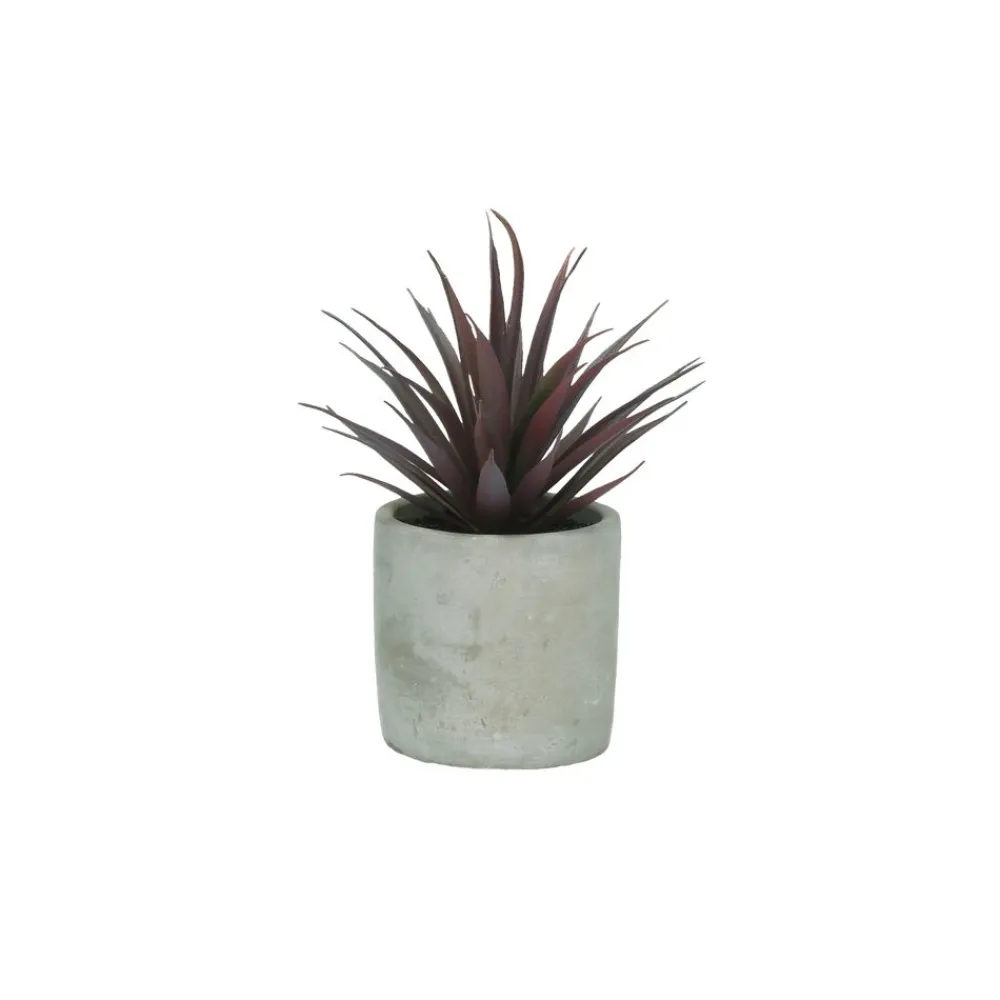 Pomax Plantes-CONCRETE JUNGLE - plante artificielle / violet - synthétique / ciment - DIA 8 x H 16 cm - vert