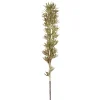 Pomax Fleurs-FIORI - fleur artificielle - synthétique - H 120 cm - sable