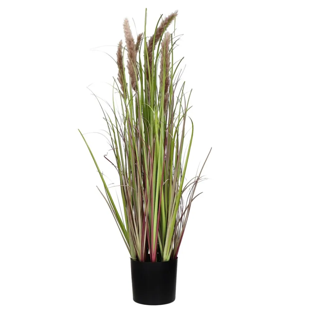Pomax Plantes-GRASS - herbe artificielle - synthétique - DIA 11 x H 78 cm - brun