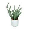 Pomax Plantes-MARMURA - plante artificielle - synthétique / ciment - DIA 12 x H 40 cm - vert