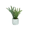 Pomax Plantes-MARMURA - plante artificielle - synthétique / ciment - DIA 8 x H 22 cm - vert