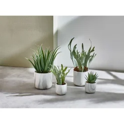 Pomax Plantes-MARMURA - plante artificielle - synthétique / ciment - DIA 12 x H 40 cm - vert