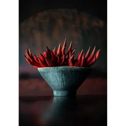 Pomax Bols & Paniers-MERAPI - bol - terracotta - DIA 24,5 x H 13 cm - noir