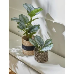 Pomax Bols & Paniers-NYONS - set/3 paniers - papier - DIA 15/20/28 x H 15/17/23 cm - naturel/noir