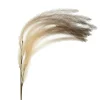 Pomax Fleurs-PLUM'O - plume artificielle degradé - synthétique / métal - H 106 cm - sable