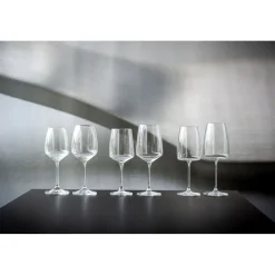 Pomax Verres-SAUVIGNON - verre à vin rouge - verre cristallin - DIA 8 x H 22,5 cm