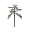 Pomax Plantes-SUCCULENT - plante artificielle - synthétique / métal - H 38 cm - vert
