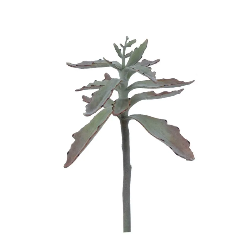 Pomax Plantes-SUCCULENT - plante artificielle - synthétique / métal - H 38 cm - vert