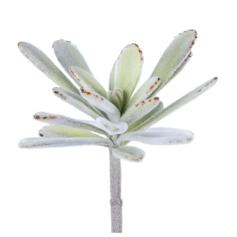 Pomax Plantes-SUCCULENT - plante artificielle - synthétique / métal - H 20 cm - vert